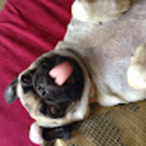 Meet your Posher, Marissa